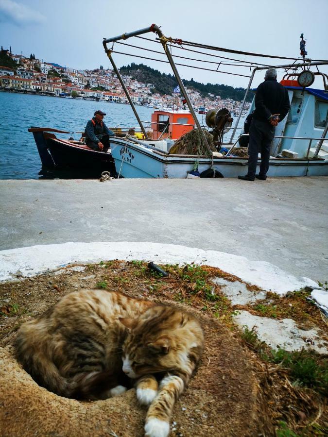 Poros Vista Hotel Πόρος Εξωτερικό φωτογραφία