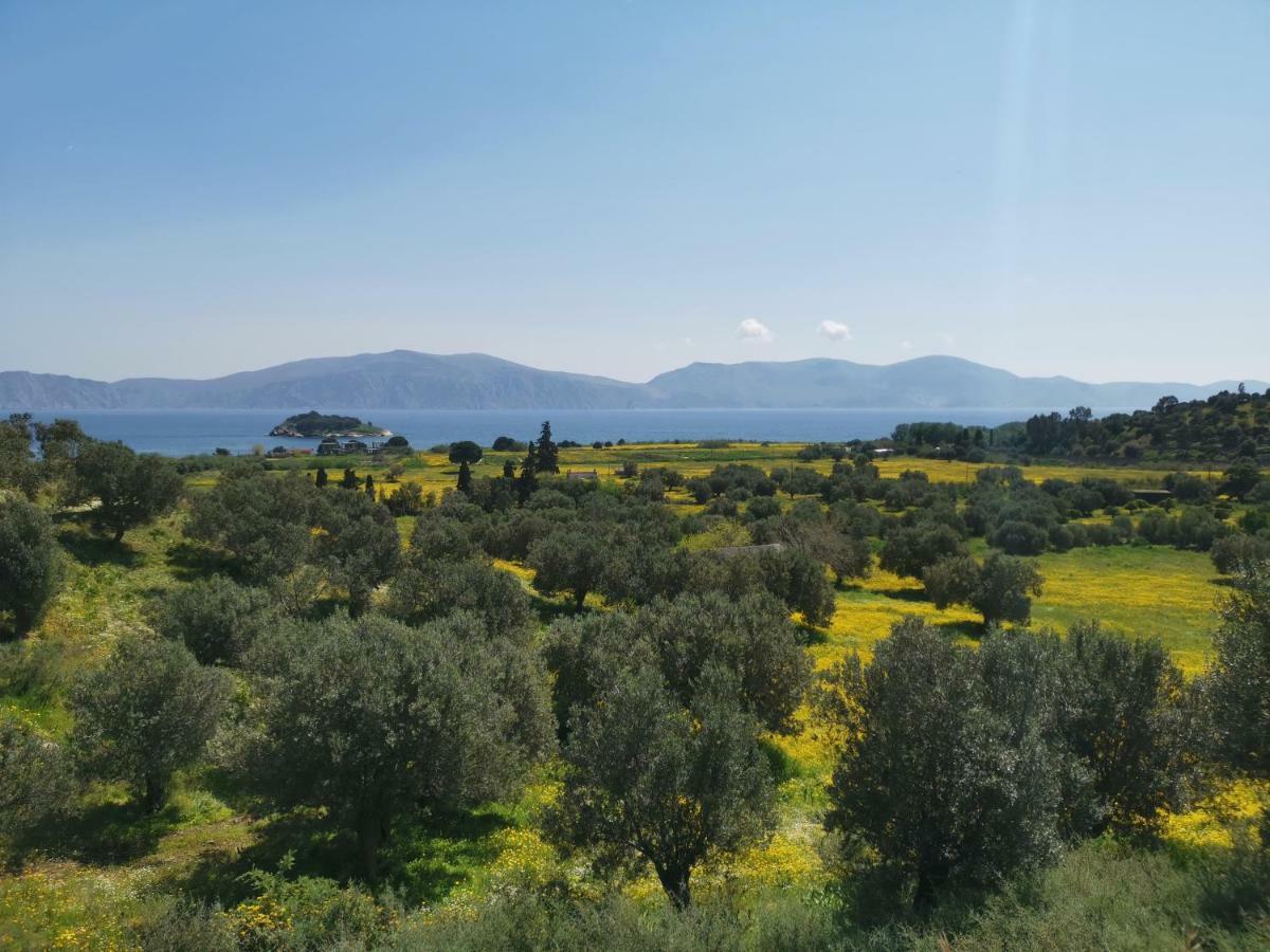 Poros Vista Hotel Πόρος Εξωτερικό φωτογραφία