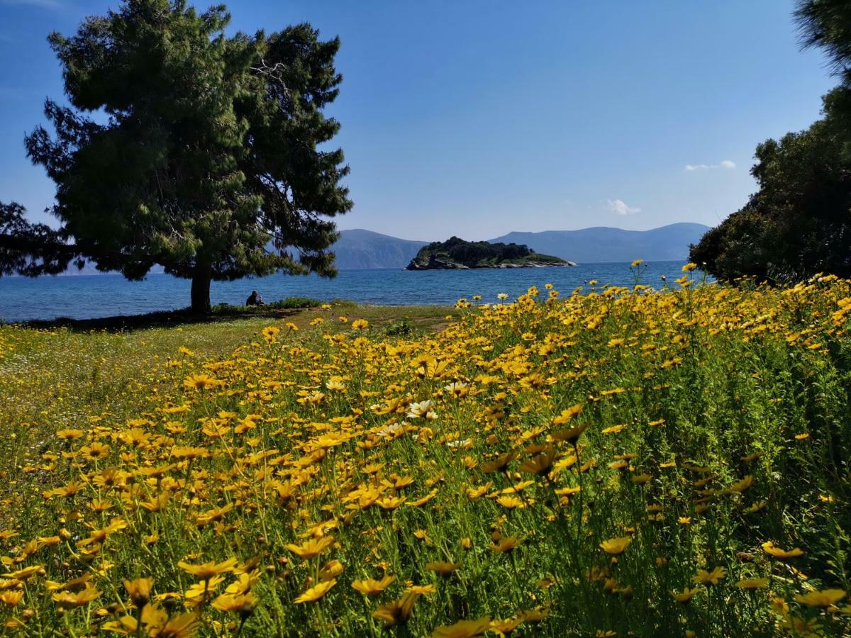 Poros Vista Hotel Πόρος Εξωτερικό φωτογραφία